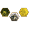 Settlers of Catan Hexagon Design