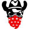 Cowboy Skull