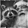 Waschbär Selfie mit Weihnachtsmann 