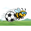 Fußball Bienenfliege