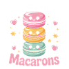 Macaron French Desserts