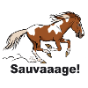 Cheval sauvage pie (pour textiles clairs)