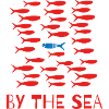 Bancs de sardines