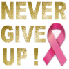 Never Give Up Pink Ribbon