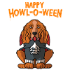 Howl-o-ween Cocker Spaniel Chien Costume d’Halloween
