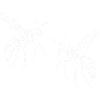 Bee Wasp