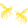 Bee Wasp