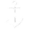 Anker Bregenz Bodensee Österreich