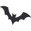 Silhouette of a nocturnal bat