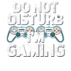 Do Not Disturb I Am Gaming