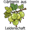Green Gooseberry Branch Illustration
