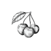 Rempli de cerises de qualité