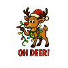 "Oh Deer" Christmas Reindeer with Lights