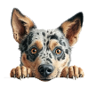 Merle Mutt Peekaboo Portrait