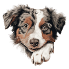 Playful Pooch Portrait