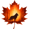 Autumn with wolf elegant