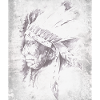 Native Grey Feather Chief