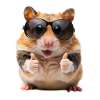 Funny Hamster Wearing Sunglasses