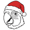 Perroquet Noël Père Noël chapeau design