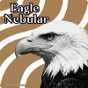 Eagle Nebular Portrait