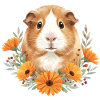guinea pig