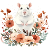 Rat