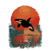Orca jump in the sunset