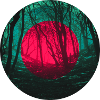 Éclipse de forêt