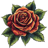 Fleur de rose