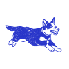 Australian Cattle Dog Running