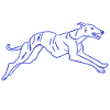 Greyhound Dog Running