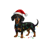 Dachshund with Christmas Fairy Lights