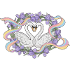 Swans love rainbow
