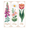 Botanical Foxglove Daisy Tulip Flowers