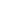 Flower Skull Peace Chaos