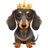 Petit teckel avec couronne design mignon