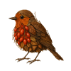 Robin illustration in nature design