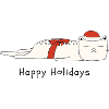 Funny cat Christmas