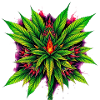 Fire Mandala Cannabis Leaf Star