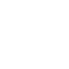 Zebra T-shirt Gift