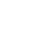 Fox T-shirt Gift
