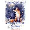 Fox Bible Verse Christian