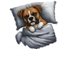 Official Sleep Shirt Boxer Dog