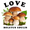 Ich liebe Steinpilze – Waldliebe
