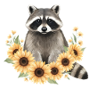 Raccoon
