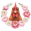 Poulet brun