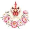 Poulet blanc