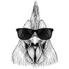 Rooster