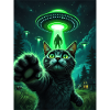 Neon cat and UFO rescue