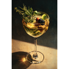 Herbal Cocktail Glass Still Life